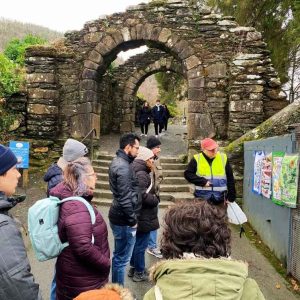 Entrada Glendalough